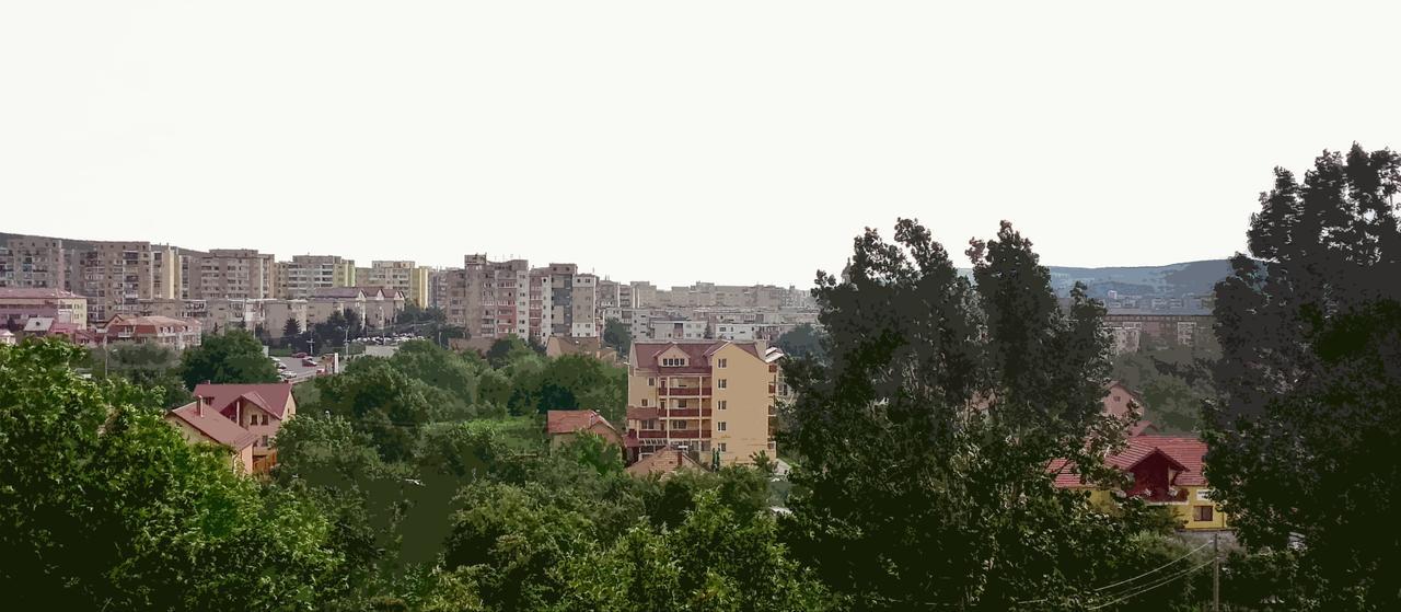 Vila Rosa 2 Hotell Cluj-Napoca Exteriör bild